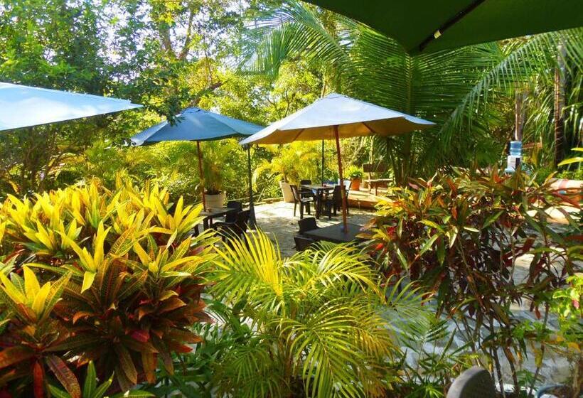 Номер Стандарт, Casa Del Sol Bed And Breakfast