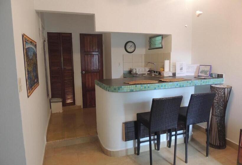 Студия Стандарт, Casa Del Sol Bed And Breakfast