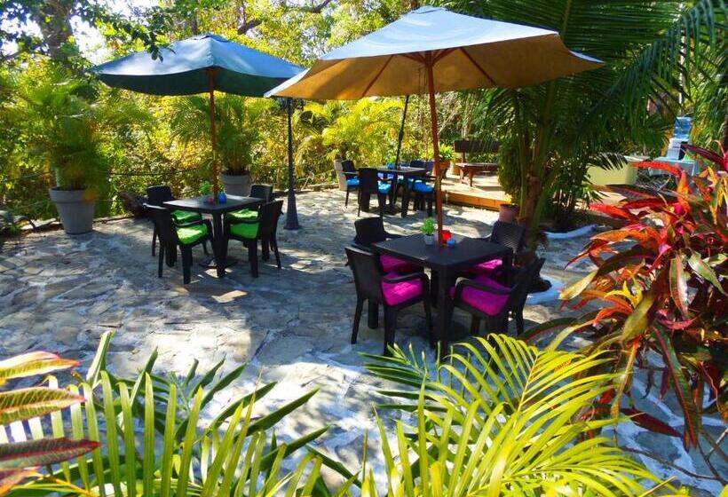 Студия Стандарт, Casa Del Sol Bed And Breakfast
