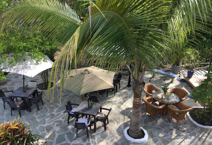 Номер Стандарт, Casa Del Sol Bed And Breakfast