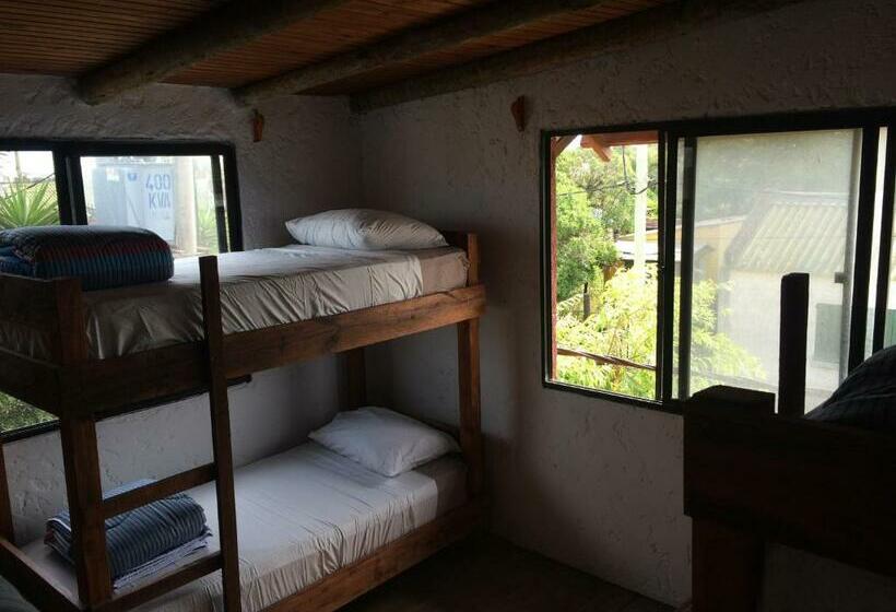 공동 객실, Piedra Alta Hostel & Suites