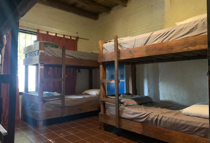 공동 객실, Piedra Alta Hostel & Suites