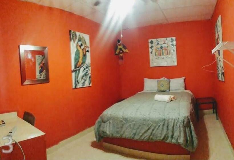 Номер Стандарт, Windmill Hostal
