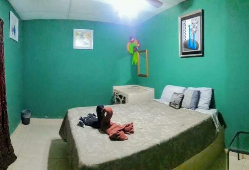 Номер Стандарт, Windmill Hostal