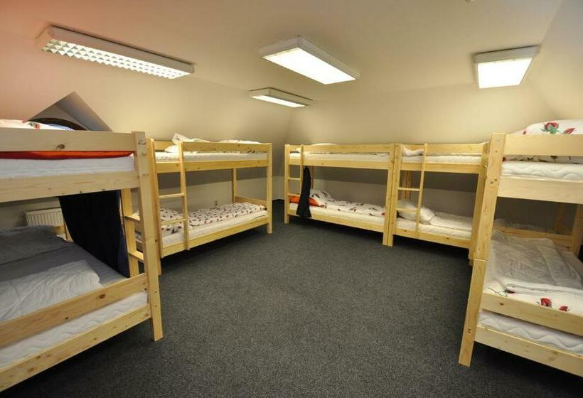 공동 객실, Hostel John Galt