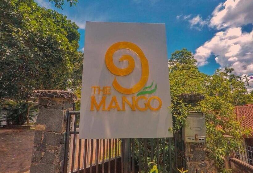 Quarto Superior, The Mango