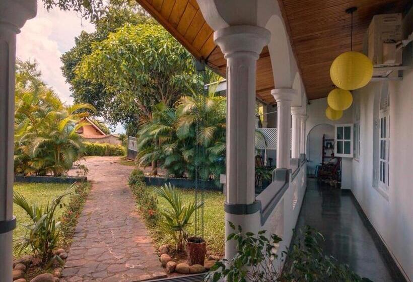 Quarto Superior, The Mango