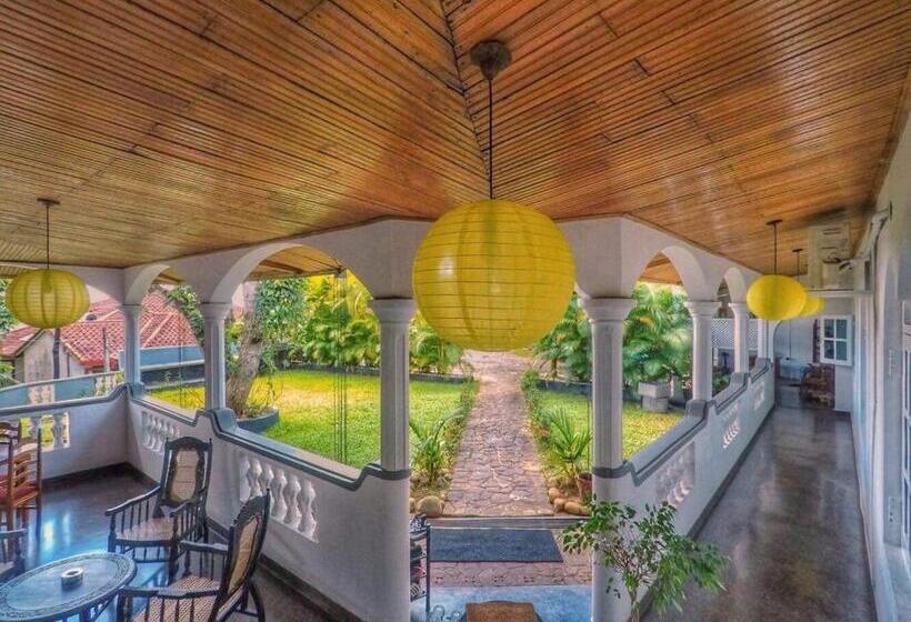 Quarto Superior, The Mango