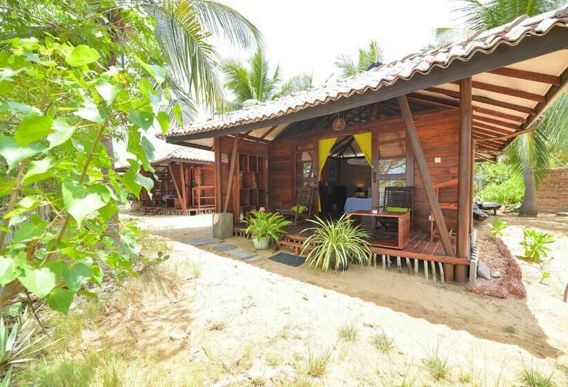 بانگلوی استاندارد, Kitesurfing Lanka