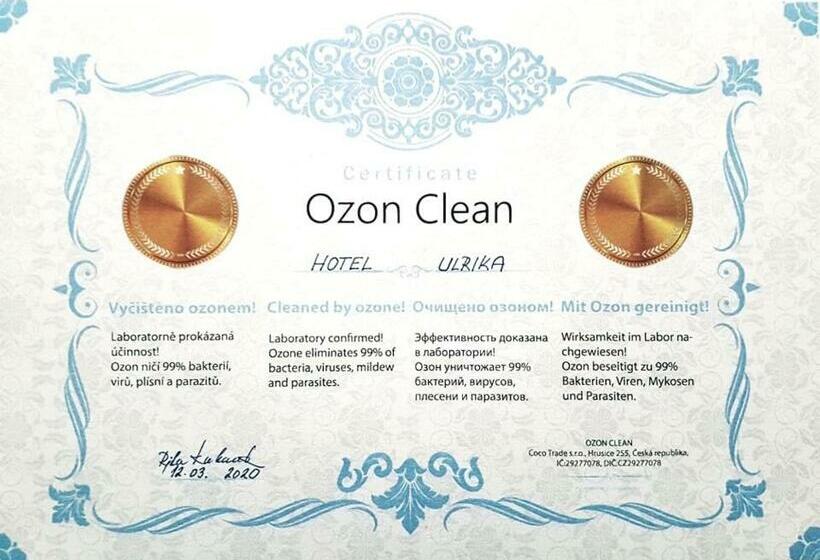 高级房间 - 可使用Spa, Spa Hotel Ulrika