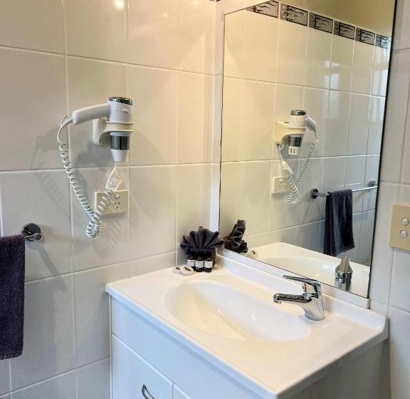 Люкс, Ashbrook Motel Taupo