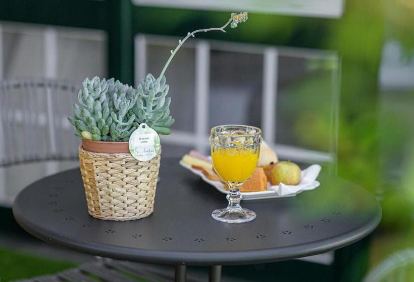 스탠다드 테라스 룸, Casa Das Hortensias  Charming Guest House