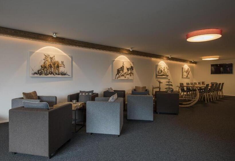 חדר סטנדרט יחיד, Berghotel Tgantieni