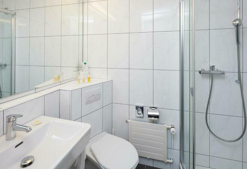 חדר סטנדרט יחיד, Rigi Kaltbad Swiss Quality