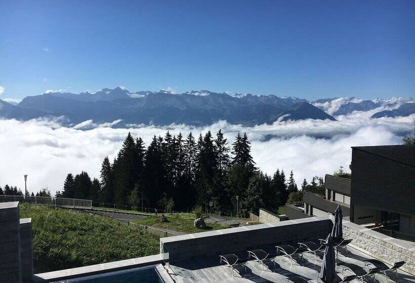 Номер Стандарт Индивидуальный, Rigi Kaltbad Swiss Quality