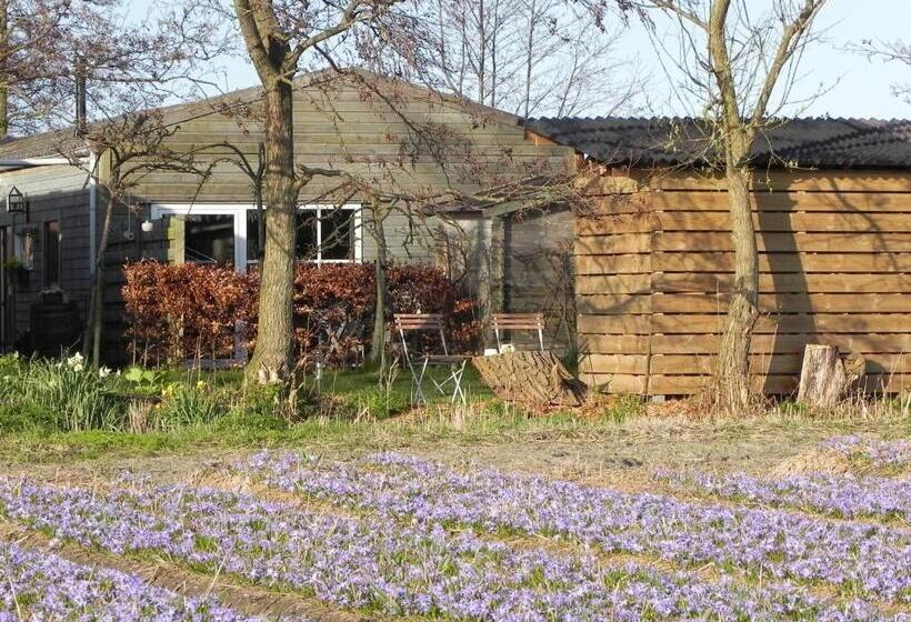Номер Стандарт, Appels En Peren Bed And Breakfast