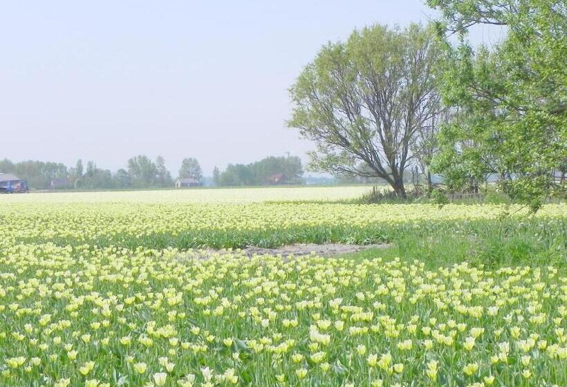 Номер Стандарт, Appels En Peren Bed And Breakfast