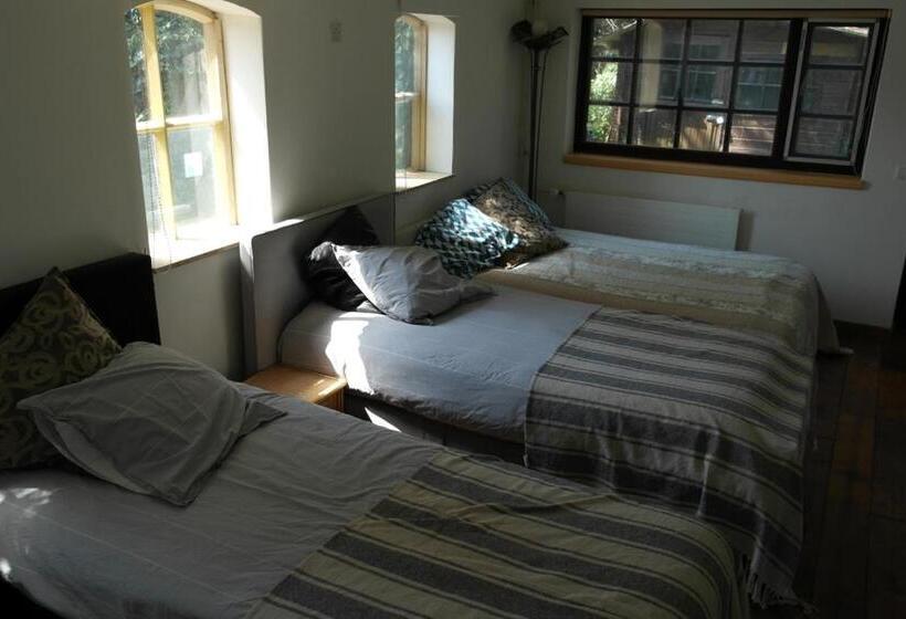 Дом 1 Спальня, Art, Bed & Breakfast
