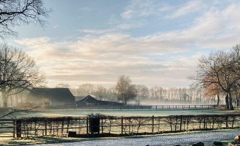 סוויטה דלוקס, De Vijf Suites