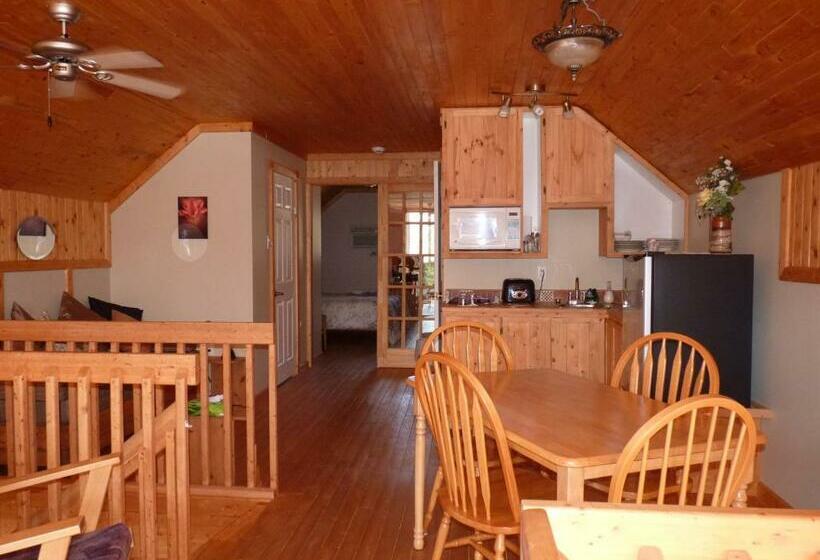 استودیوی استاندارد, Gîte De La Rivière