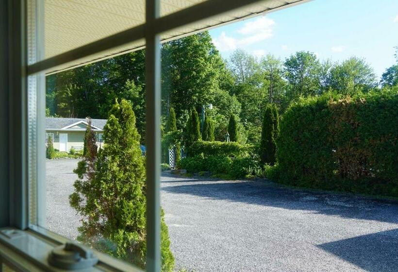 Номер Стандарт, Motel Des Cèdres