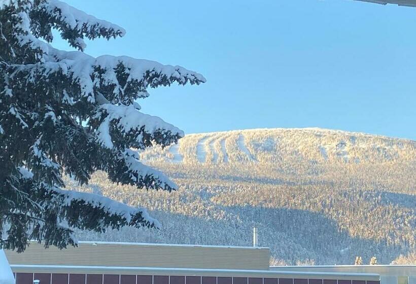 标准间, Mountain View Motel