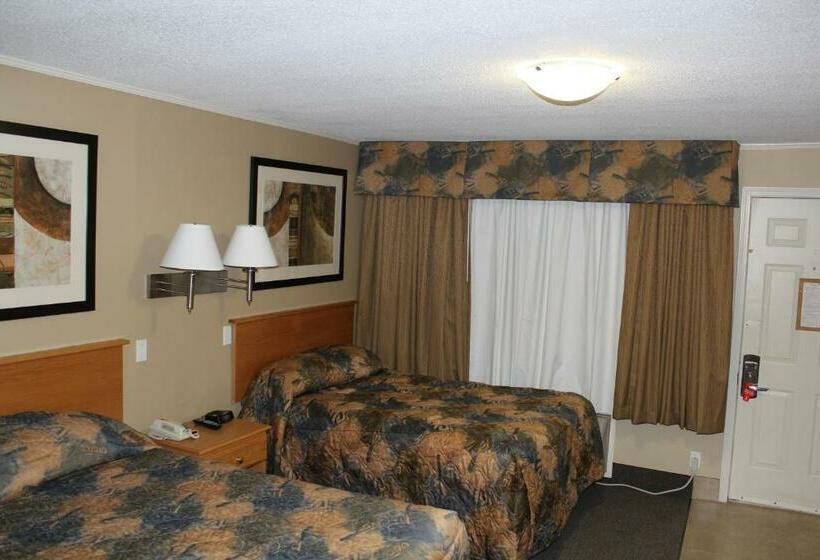 スタンダードルーム, Best Maple Inn  Drayton Valley