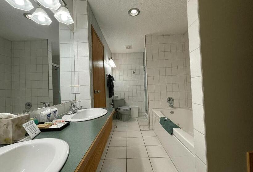 １ベッドルームのデラックスアパートメント, Best Maple Inn  Drayton Valley