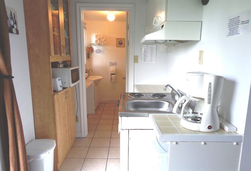 Студия Deluxe, Motel Des Deux Lacs