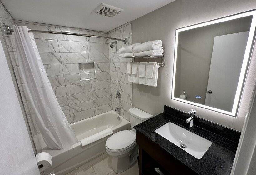 Номер Стандарт, Econo Lodge Inn & Suites
