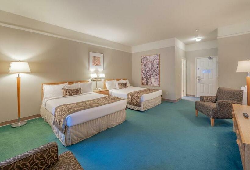 스탠다드 룸 퀸사이즈 침대, The Cedars Inn Hotel & Convention Centre