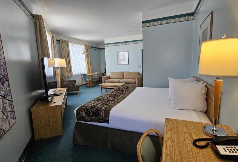 이그제큐티브 룸 킹사이즈 침대, The Cedars Inn Hotel & Convention Centre