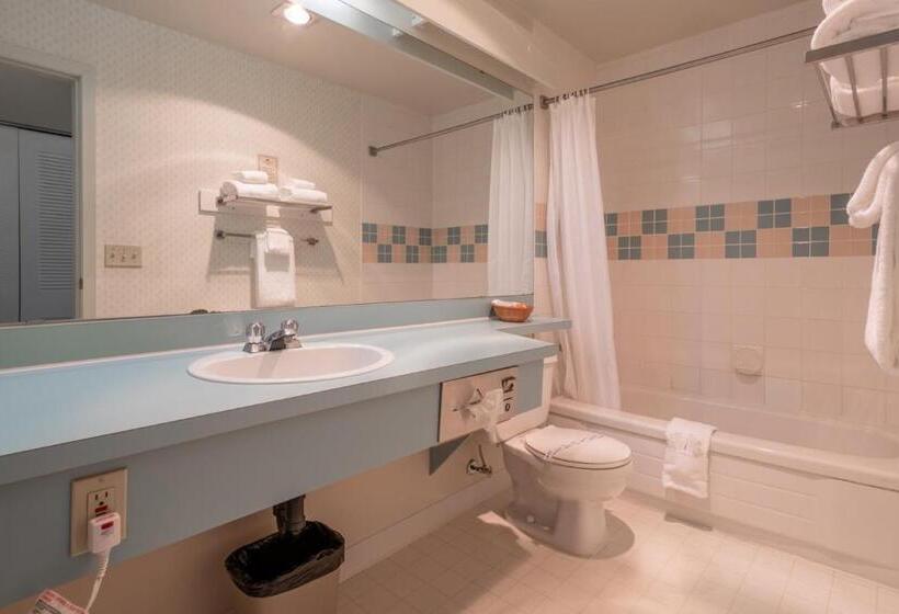 스위트, The Cedars Inn Hotel & Convention Centre