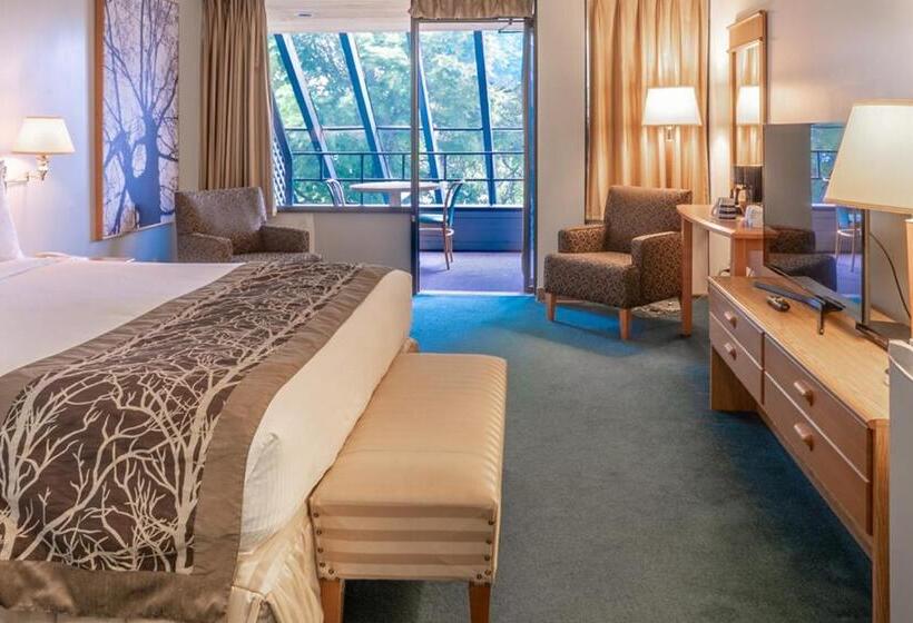 스탠다드 룸 퀸사이즈 침대, The Cedars Inn Hotel & Convention Centre