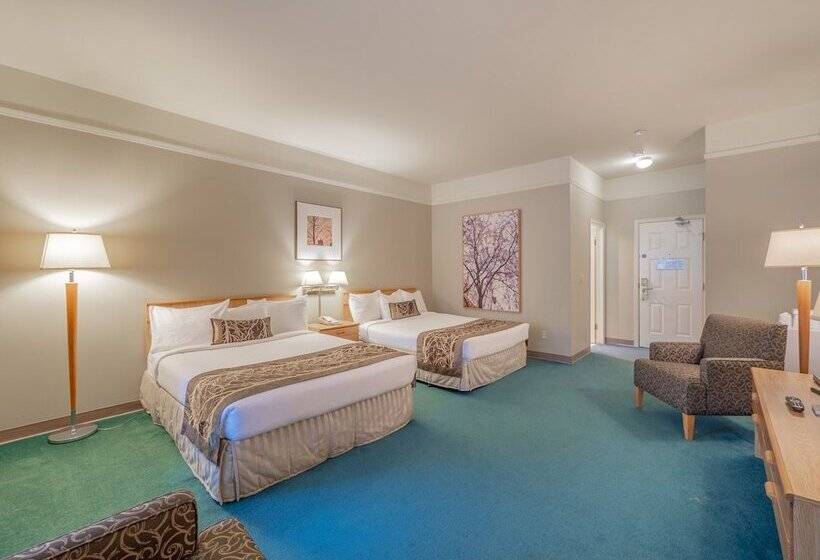Quarto Estandar 2 Camas Casal, The Cedars Inn Hotel & Convention Centre