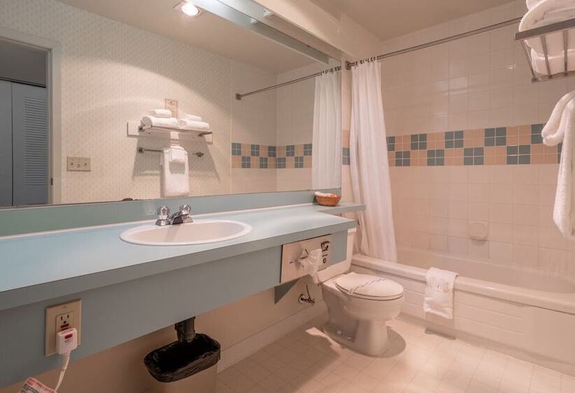 스탠다드 룸 더블 침대 2개, The Cedars Inn Hotel & Convention Centre