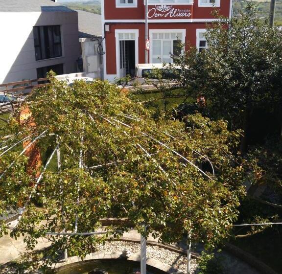 Номер Стандарт, Pension Albergue Don Alvaro