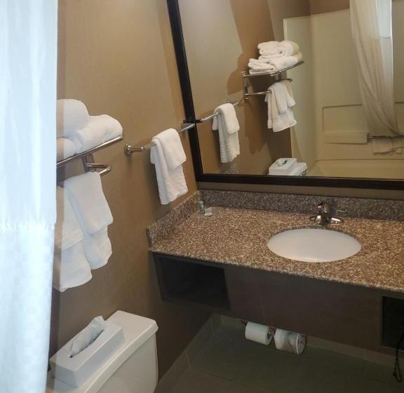 Стандартный Номер Кровать Кинг, Best Western Maple City Inn