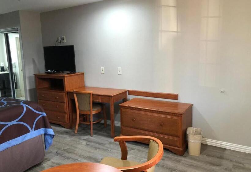 带大床的标准间, Diboll Inn And Suites