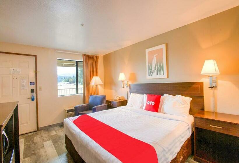Стандартный Номер Кровать Кинг, OYO Woodland Hotel and Suites