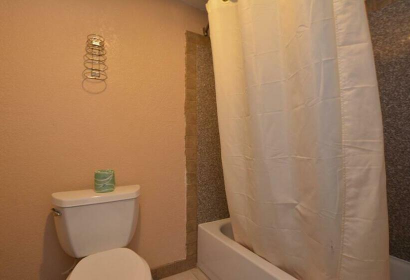 Номер Стандарт 2 Двуспальные Кровати, Newcastle Motel