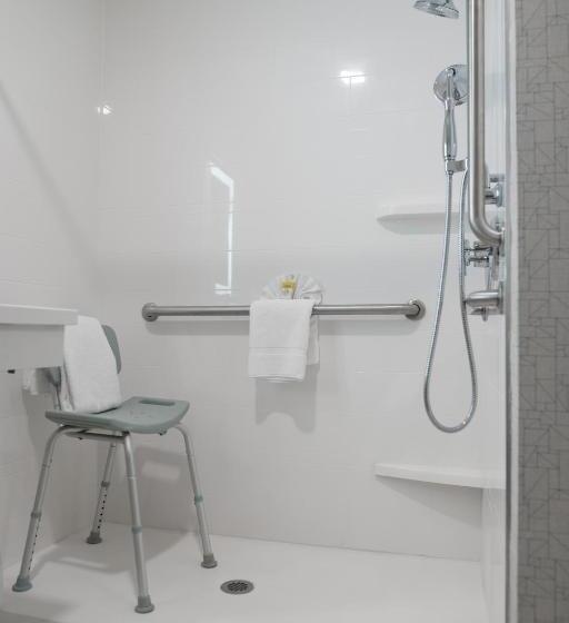Номер Стандарт Кровать Кинг Адаптированный для Инвалидов, Holiday Inn Express & Suites   Lake Forest, An Ihg