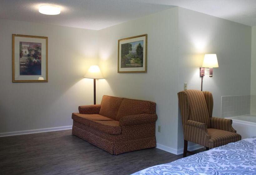 스탠다드 룸 킹사이즈 침대, Fairbridge Inn Express Mount Vernon