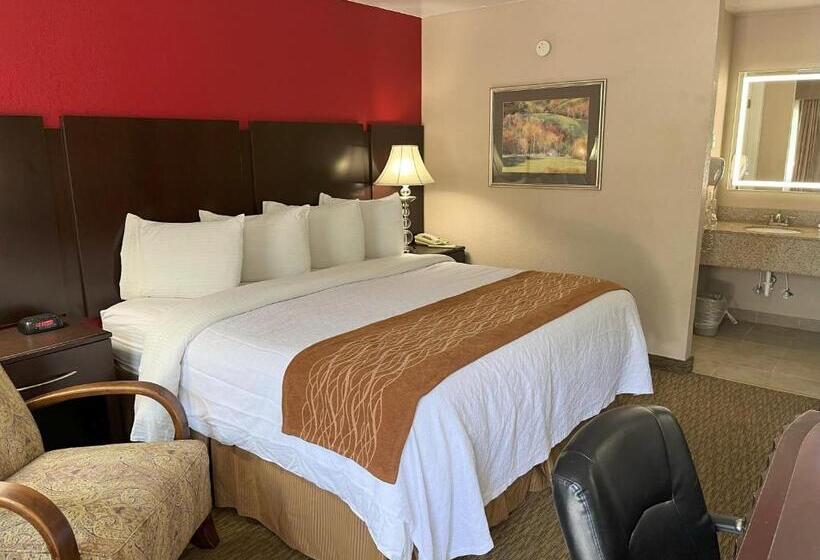 带大床的标准间, Pinetree Inn