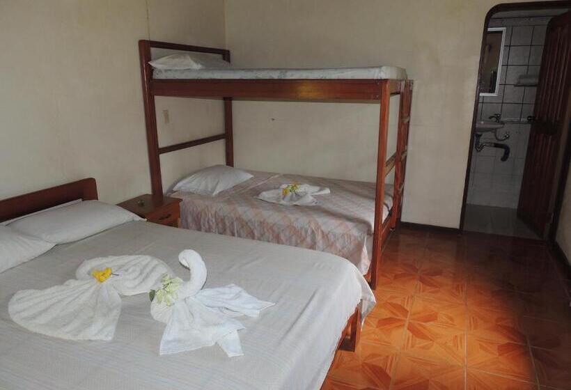 Номер Стандарт, Corcovado Wild Hostel