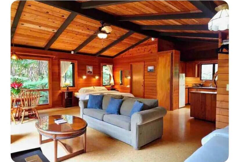 Студия Superior, The Pacifica Inn