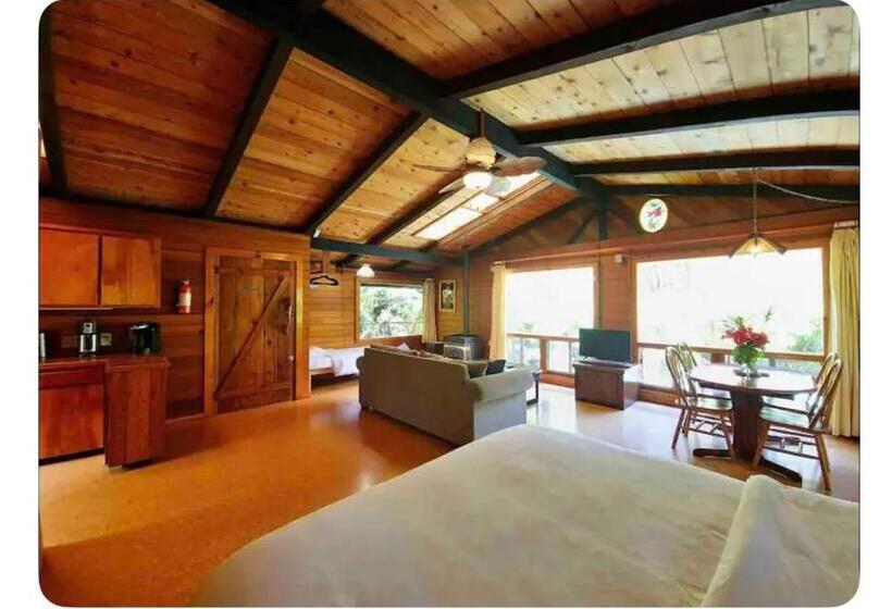 Студия Superior, The Pacifica Inn
