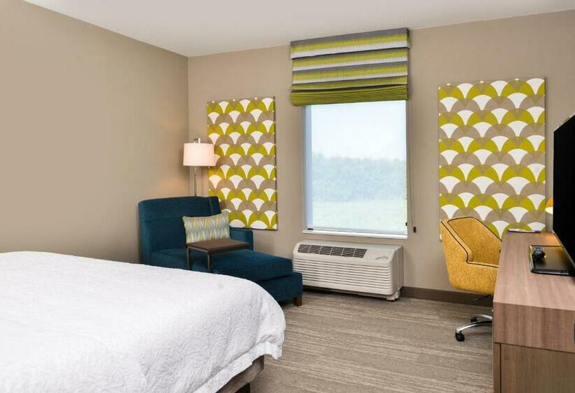 Номер Стандарт Кровать Кинг Адаптированный для Инвалидов, Hampton Inn Omaha Airport