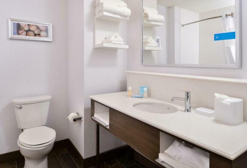 Стандартный Номер Кровать Кинг, Hampton Inn Omaha Airport