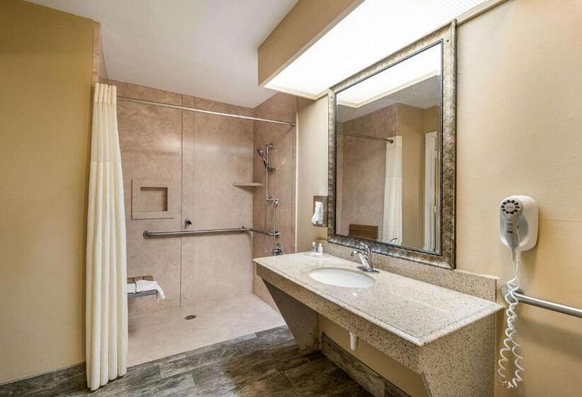 Номер Стандарт Кровать Кинг Адаптированный для Инвалидов, Quality Inn & Suites Garland   East Dallas